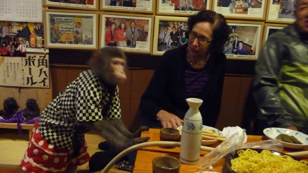 В Kayabukiya Tavern в Япония, сервитьорките са заменени с маймуни.